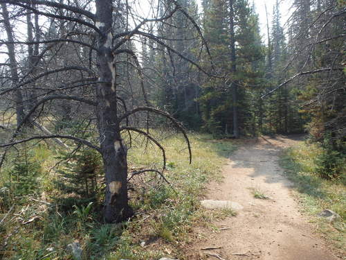 GDMBR: Ride, walk, ride, walk ...